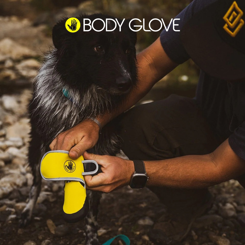 캐롤라이나 바디글로브 펫 보호 부츠