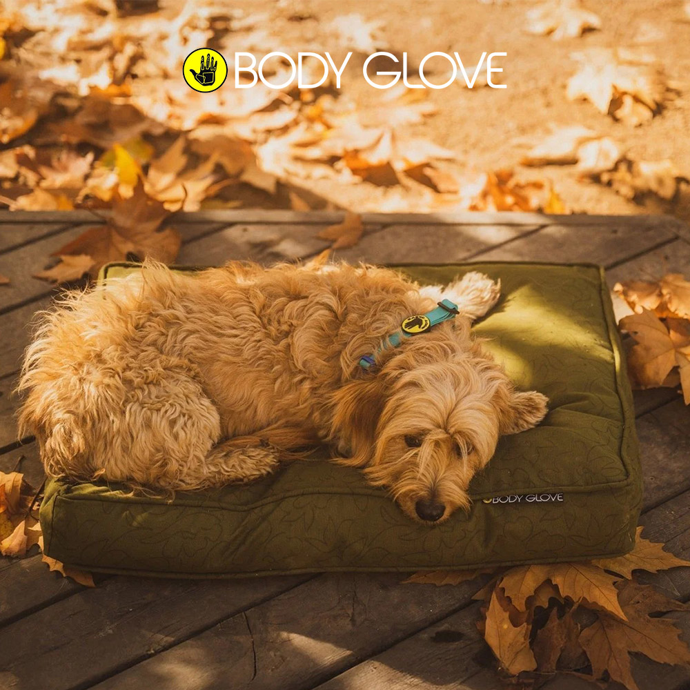 캐롤라이나 바디글로브 페인트플라워 펫 네퍼 M