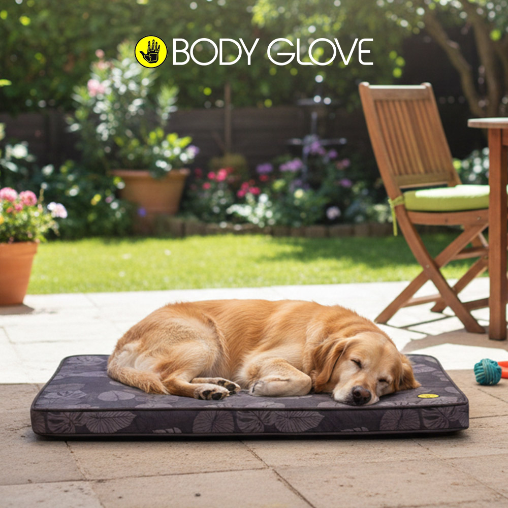 캐롤라이나 바디글로브 썬&샌드 펫 터프 매트