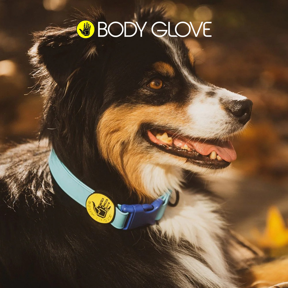캐롤라이나 바디글로브 펫 방수 목줄