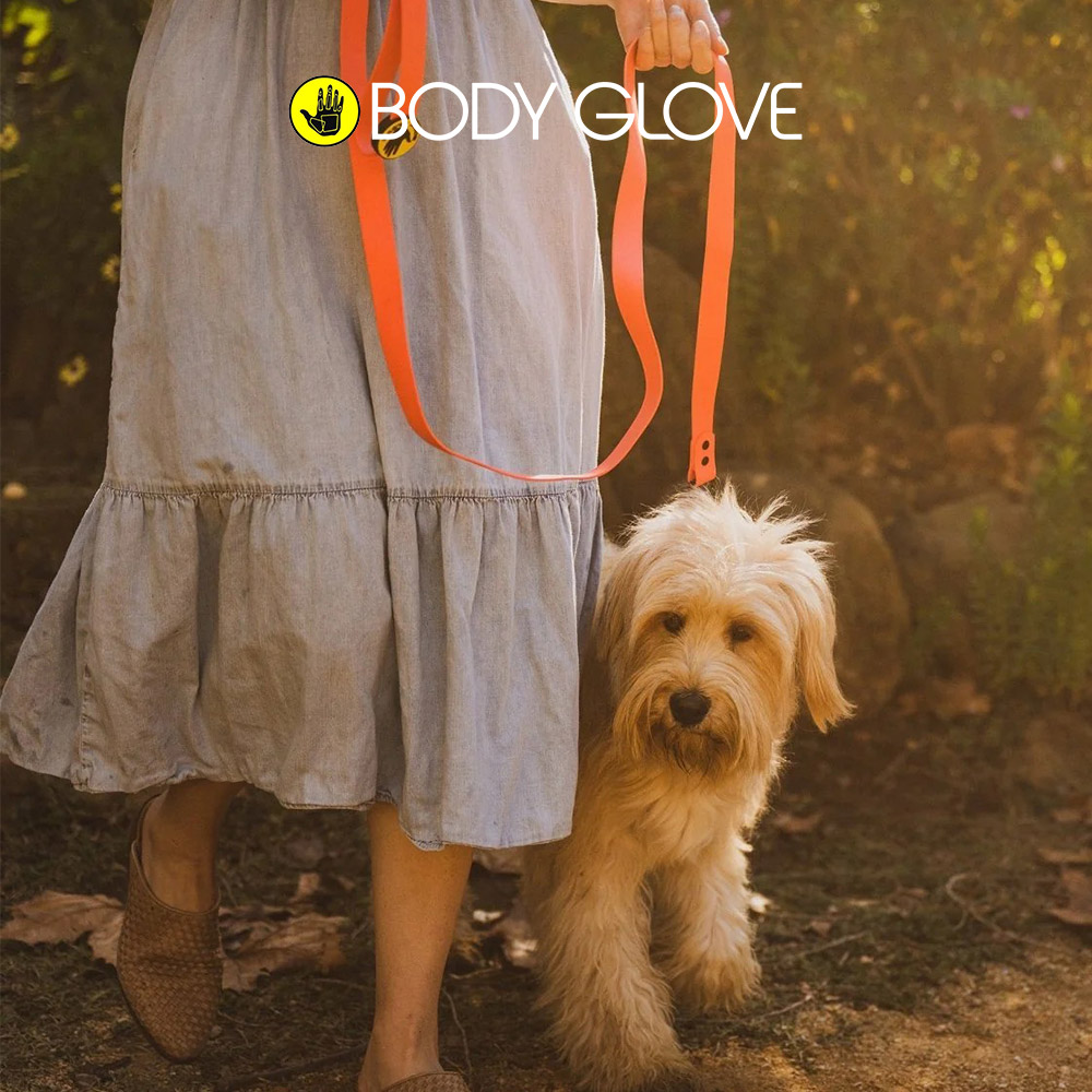 캐롤라이나 바디글로브 펫 방수 리드줄