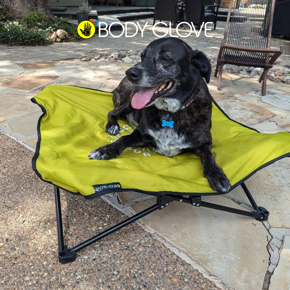 캐롤라이나 바디글로브 폴드앤고 접이식 펫 침대