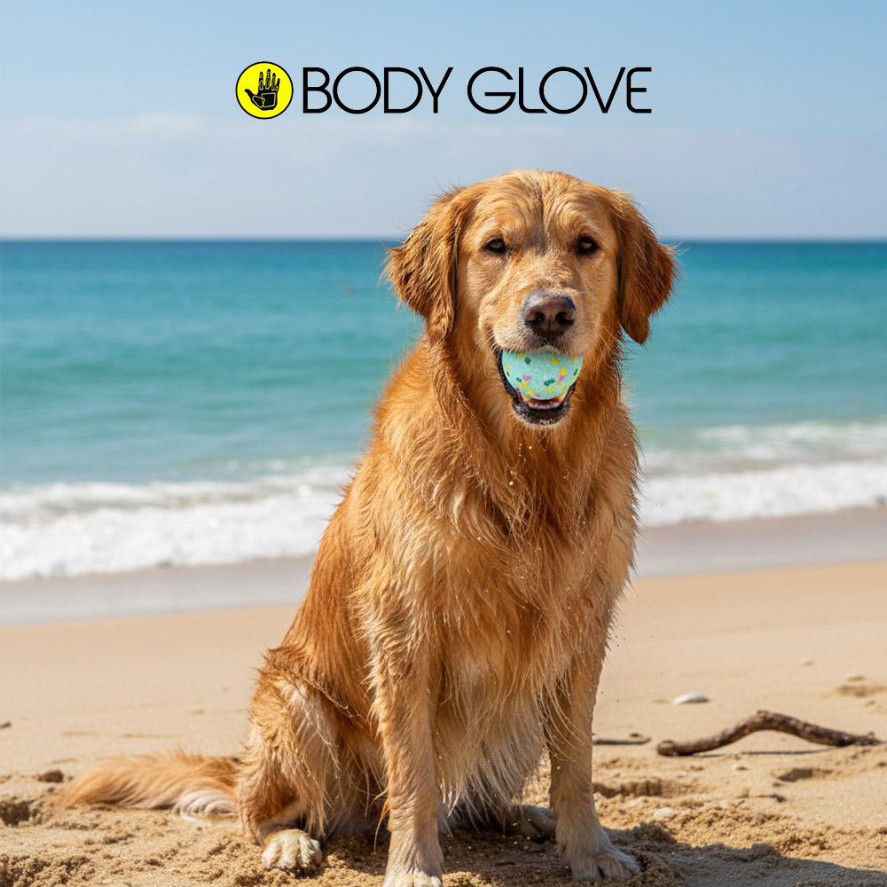 캐롤라이나 바디글로브 터프 볼 펫 장난감 3EA