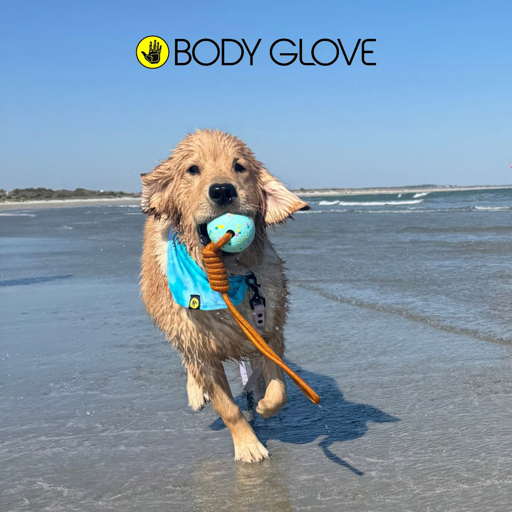 캐롤라이나 바디글로브 터프 터그 펫 장난감