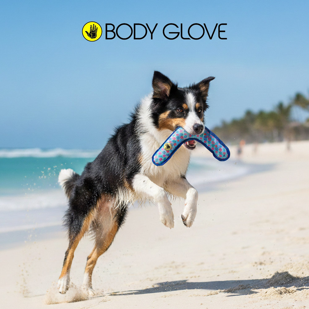 캐롤라이나 바디글로브 플로팅 부메랑 펫 장난감 (프리스비)