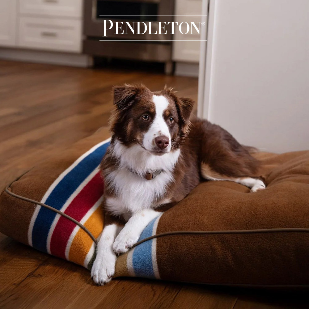 캐롤라이나 펜들턴 내셔널파크 펫네퍼 M - 조슈아트리