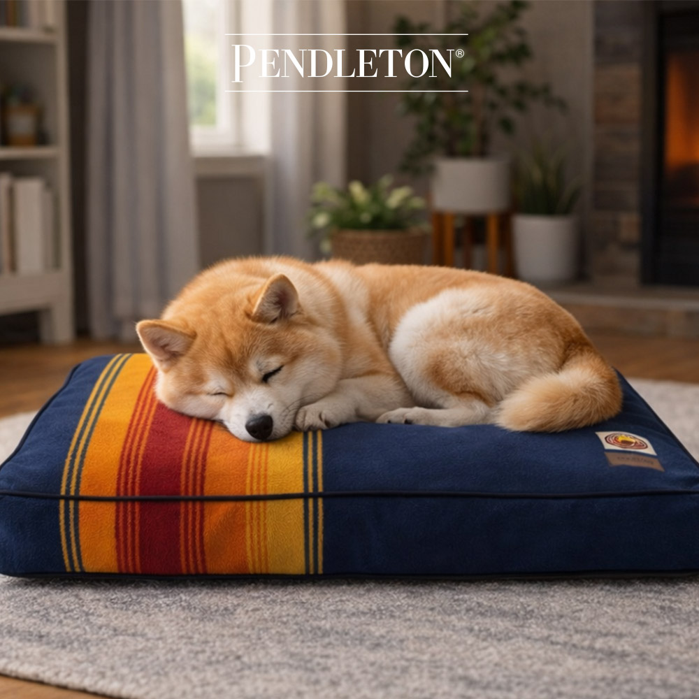 캐롤라이나 펜들턴 내셔널파크 펫네퍼 L - 그랜드캐니언