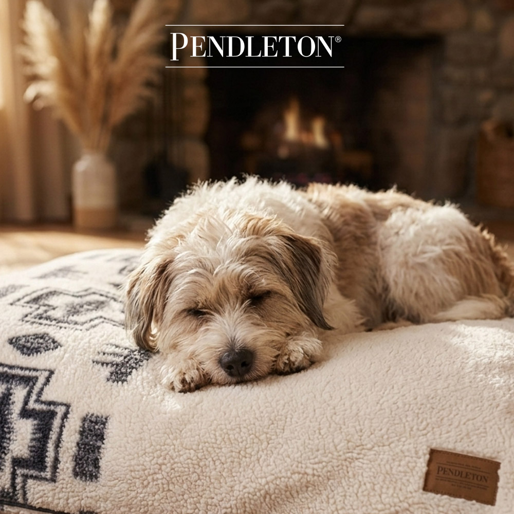 캐롤라이나 펜들턴 펫네퍼 S - 하딩토널 내추럴