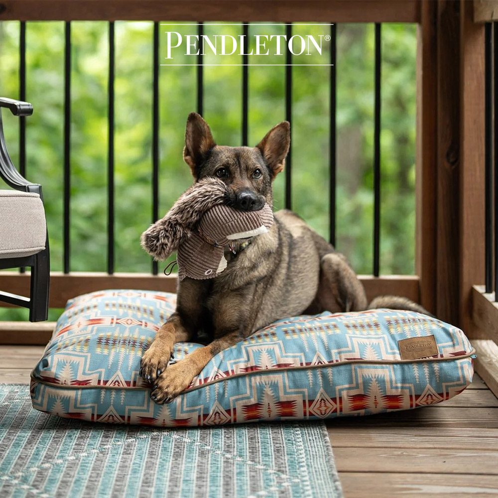 캐롤라이나 펜들턴 올시즌 펫네퍼 M - 하딩셰일