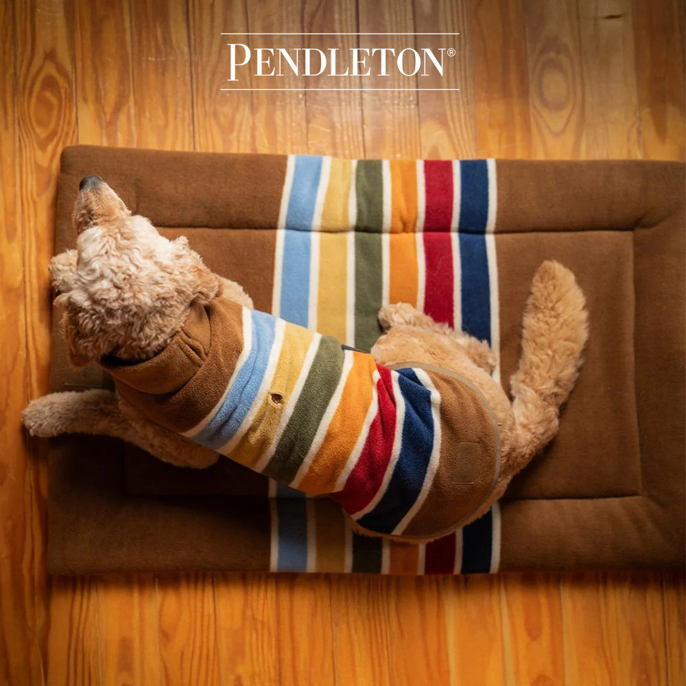 캐롤라이나 펜들턴 내셔널파크 펫 컴포트쿠션 S - 조슈아트리