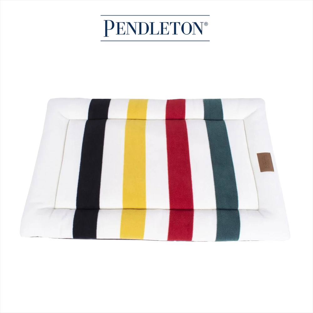 캐롤라이나 펜들턴 내셔널파크 펫 컴포트쿠션 L - 글레이셔