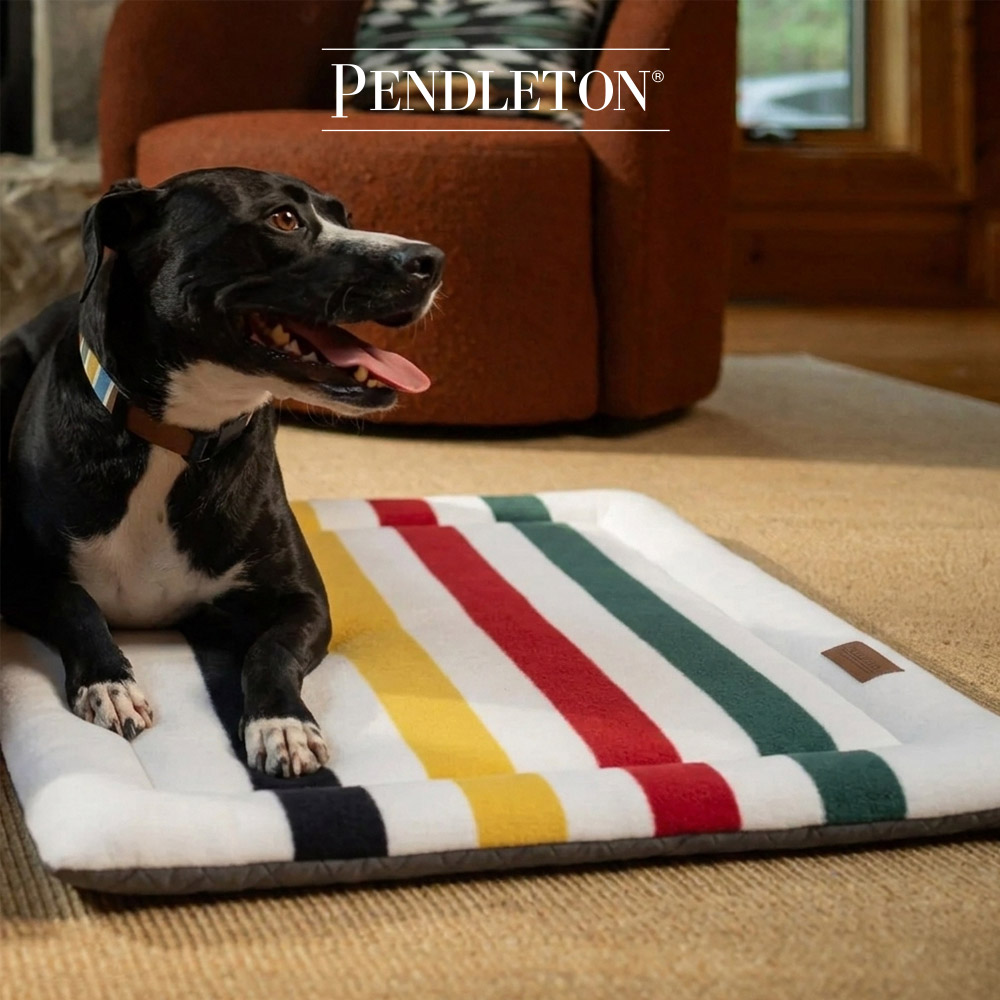 캐롤라이나 펜들턴 내셔널파크 펫 컴포트쿠션 L - 글레이셔