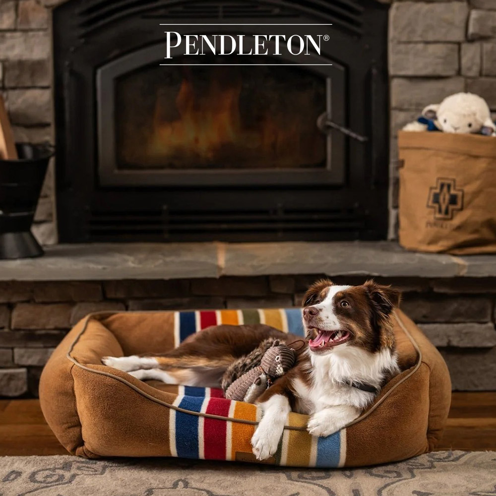 캐롤라이나 펜들턴 내셔널파크 펫 커들러베드 L 조슈아트리