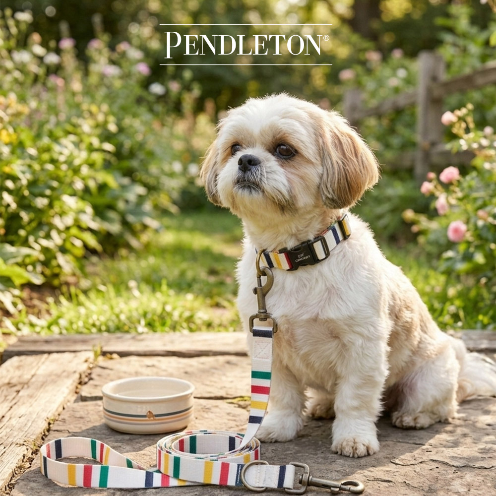 캐롤라이나 펜들턴 어드벤처 펫 목줄 XS - 글레이셔