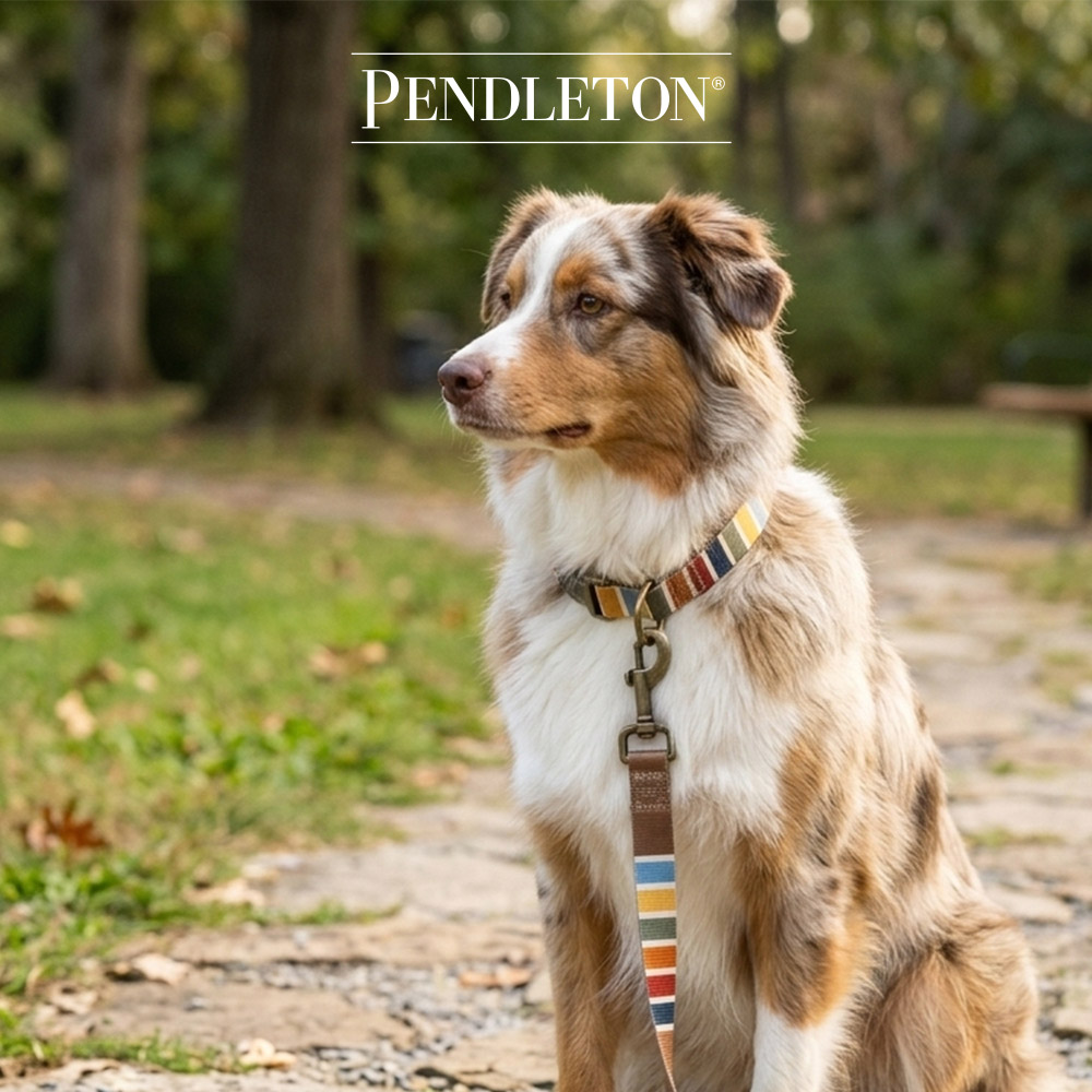 캐롤라이나 펜들턴 어드벤처 펫 목줄 S - 조슈아트리