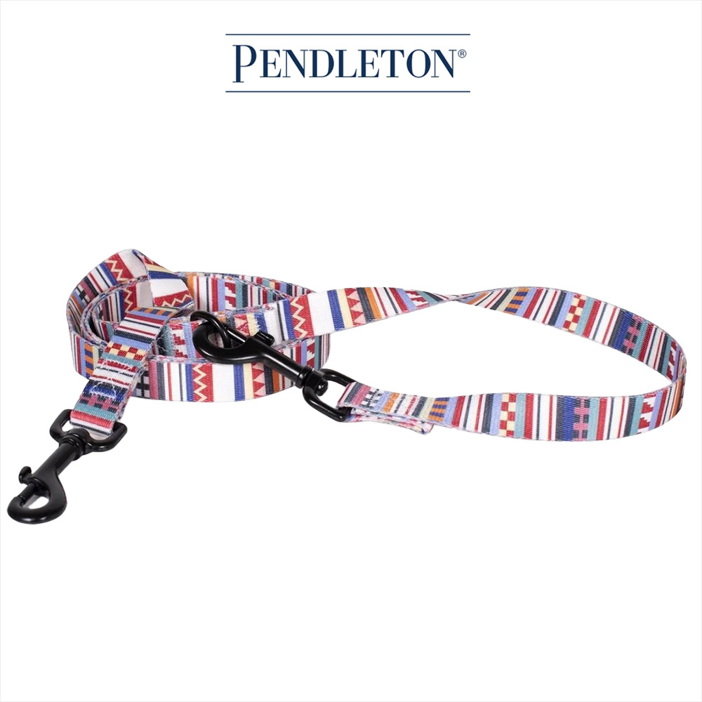 캐롤라이나 펜들턴 어드벤처 펫 리드줄 2.5x183cm - 타미아미