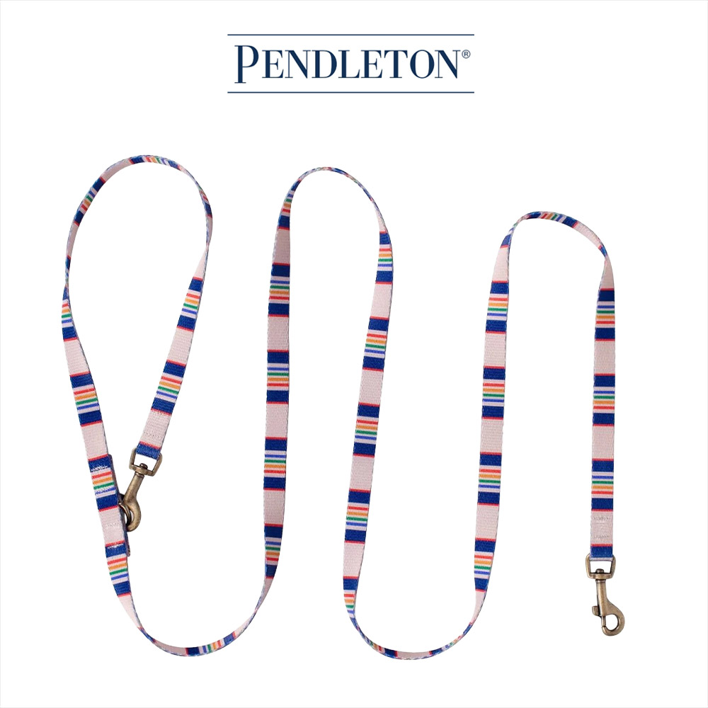 캐롤라이나 펜들턴 어드벤처 펫 리드줄 1.27x183cm - 옐로우스톤