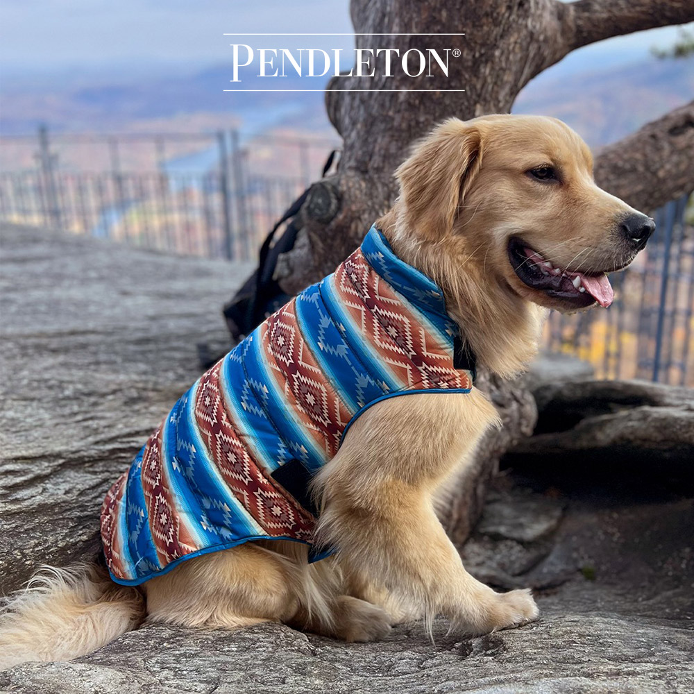 캐롤라이나 펜들턴 강아지 퍼퍼코트 S - 파고사 스프링