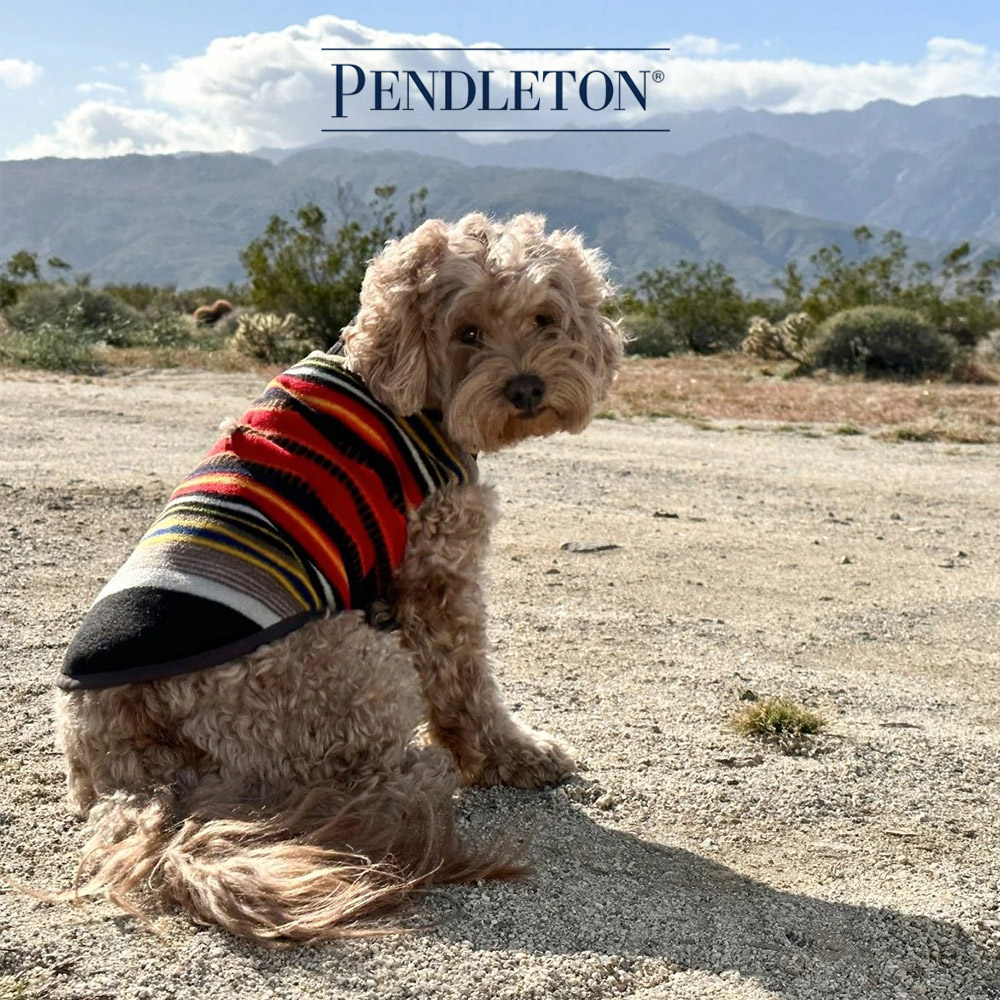 캐롤라이나 펜들턴 내셔널파크 강아지 베스트 S - 아카디아