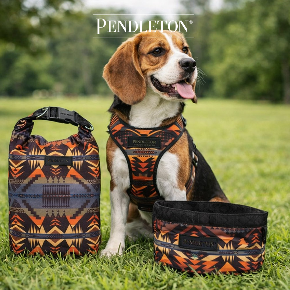 캐롤라이나 펜들턴 펫 휴대용 물그릇 미스틱레이크