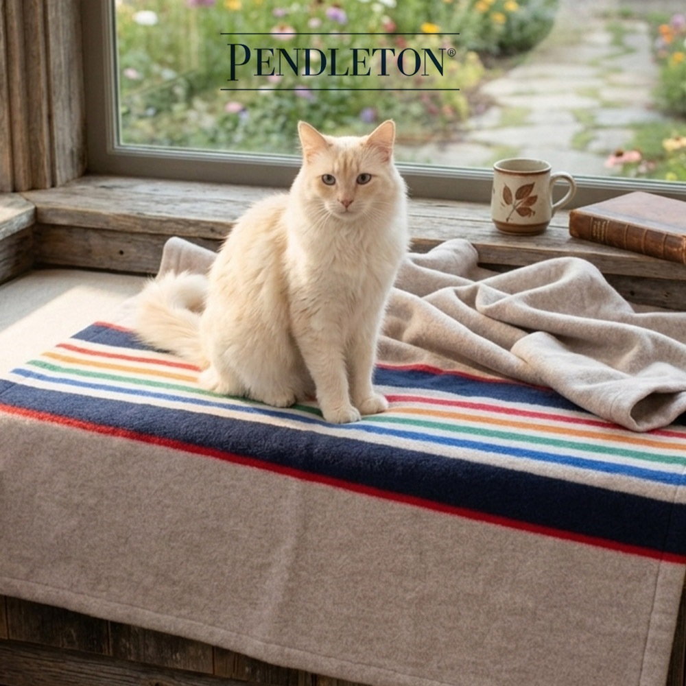 캐롤라이나 펜들턴 펫 스로우 옐로우스톤